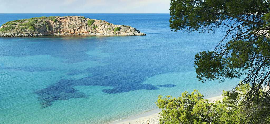 Hotels in Portals Nous